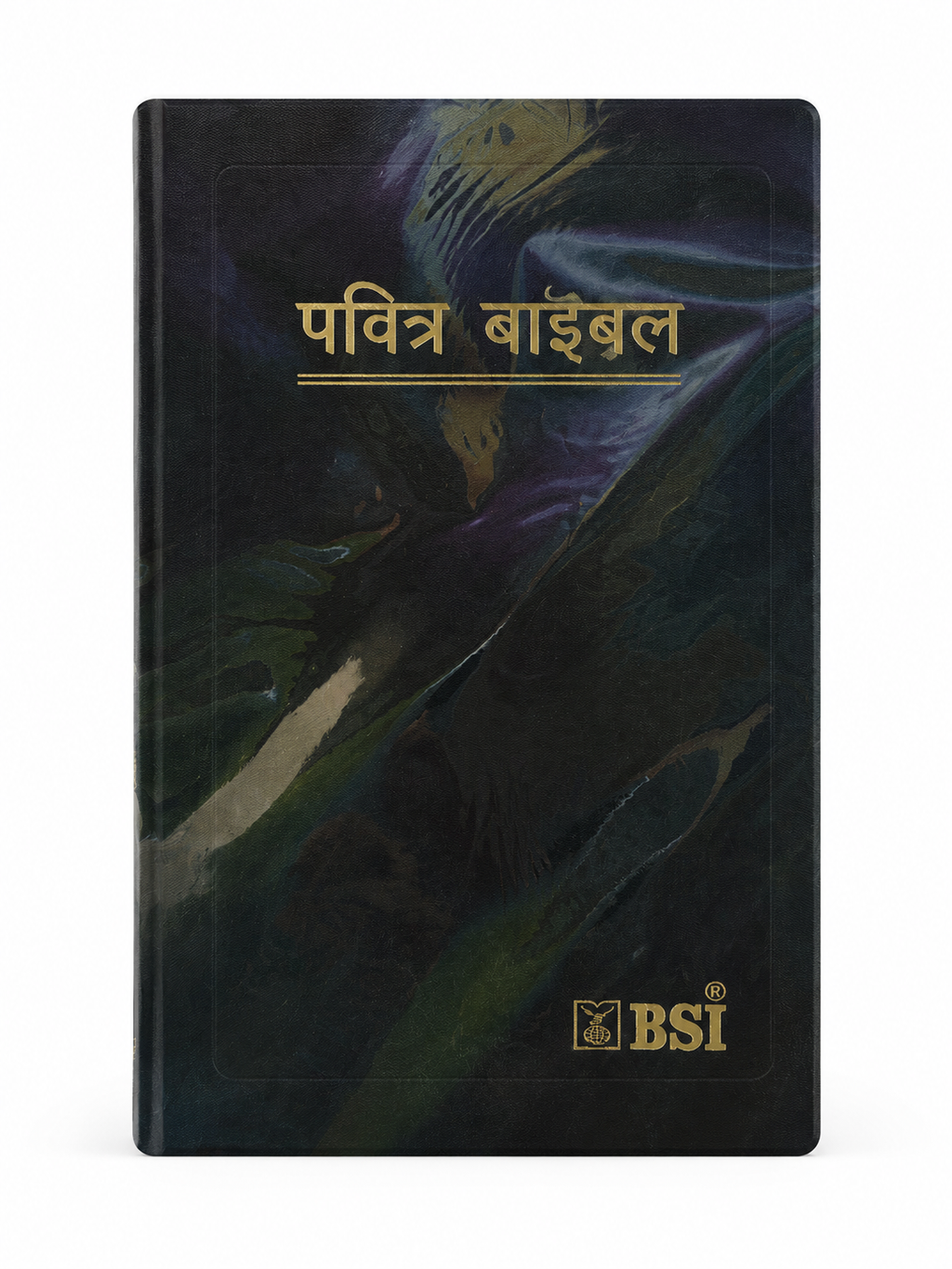 Bengali Holy Bible – Old Version (O.V.) Bible Society of India (BSI)
