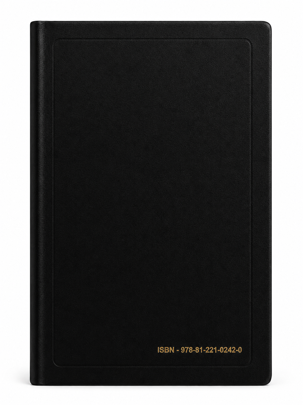 Punjabi Holy Bible (Old Version) Bible Society of India (BSI)