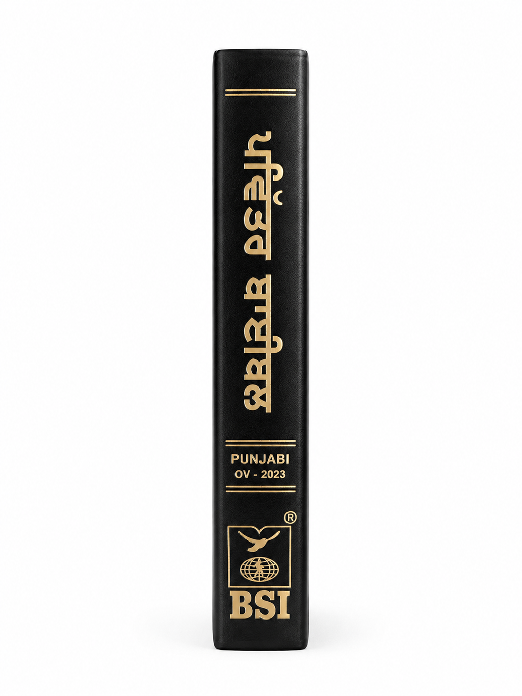 Punjabi Holy Bible (Old Version) Bible Society of India (BSI)