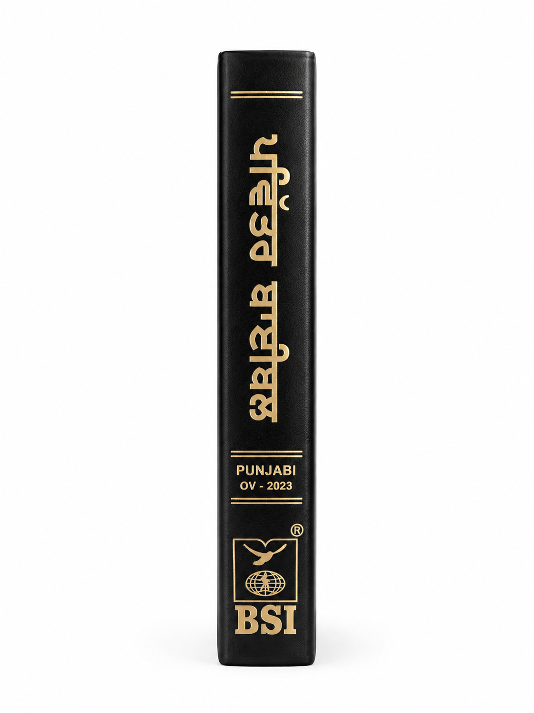 Punjabi Holy Bible (Old Version) Bible Society of India (BSI)