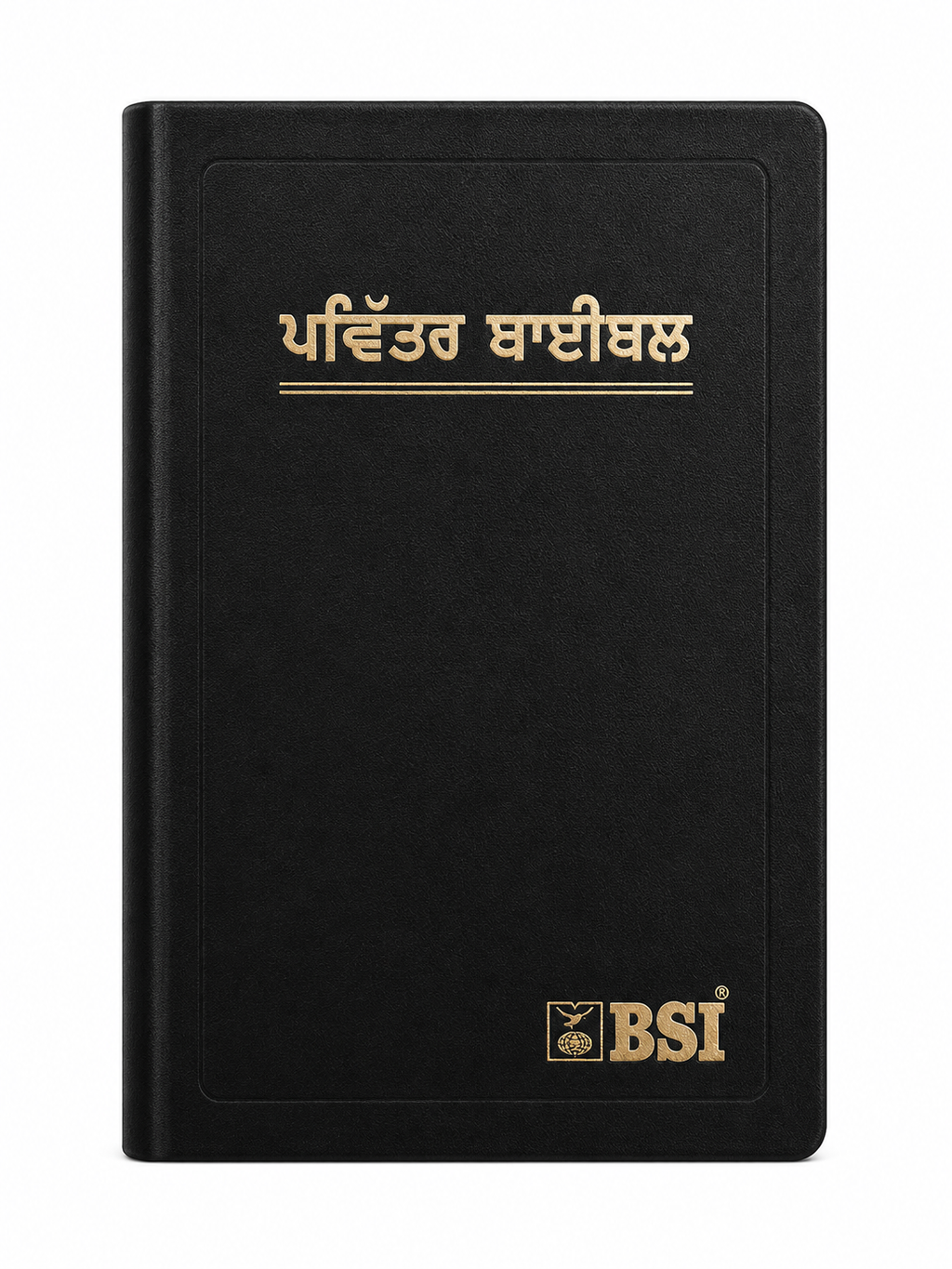 Punjabi Holy Bible (Old Version) Bible Society of India (BSI)