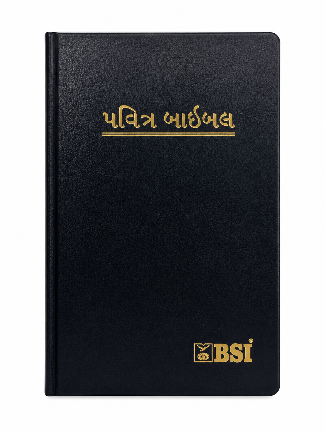 Gujarati Holy Bible (Revised Version) Bible Society of India (BSI)