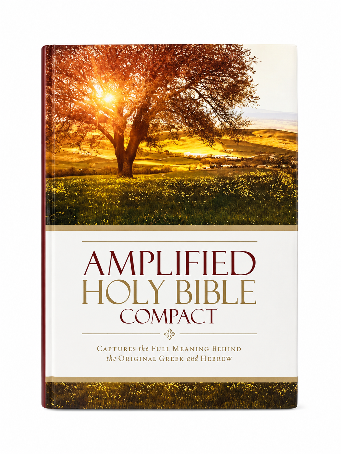 Amplified Holy Bible – Compact Zondervan