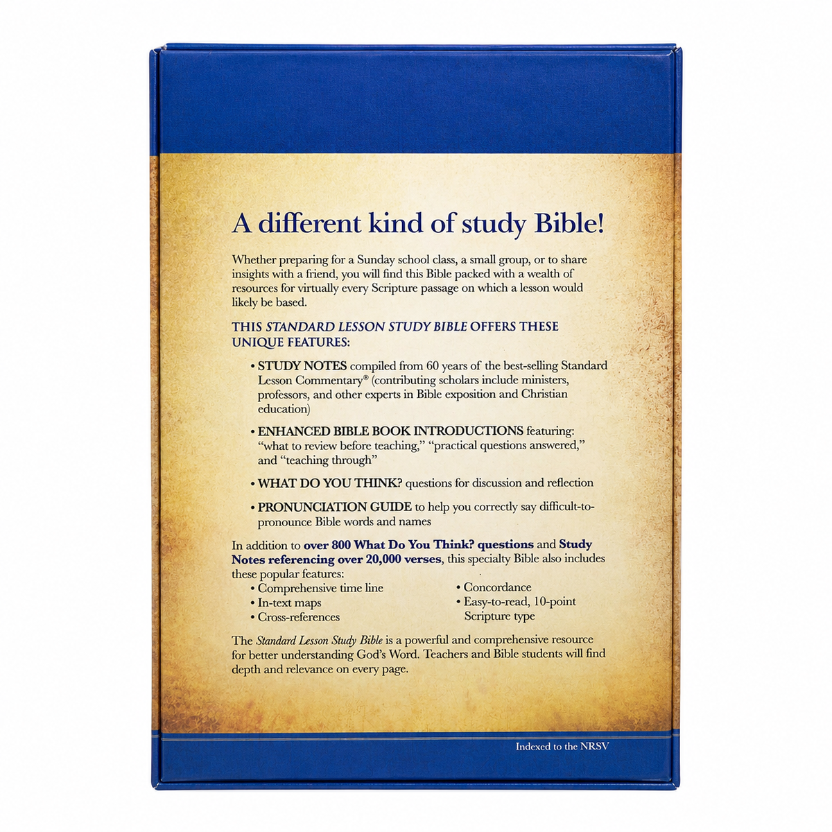NIV Standard Lesson Study Bible