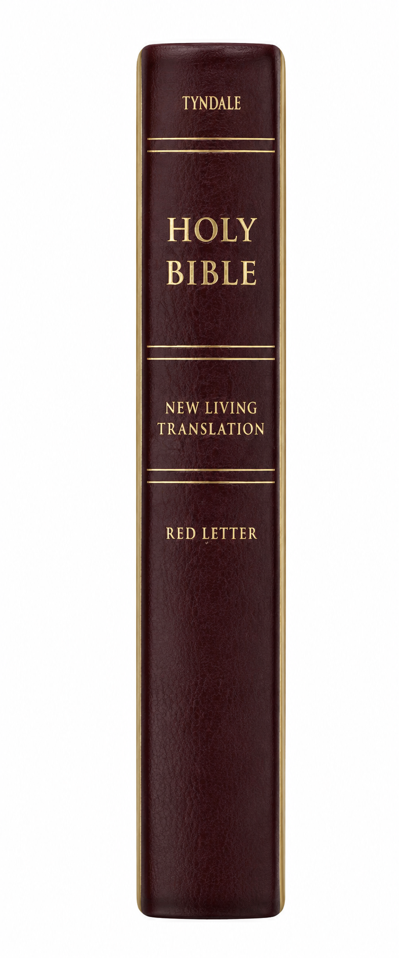 NLT Gift and Award Bible