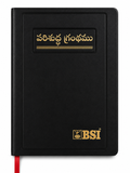 Telugu Holy Bible – Old Version (OV) 2021 Bible Society of India (BSI)