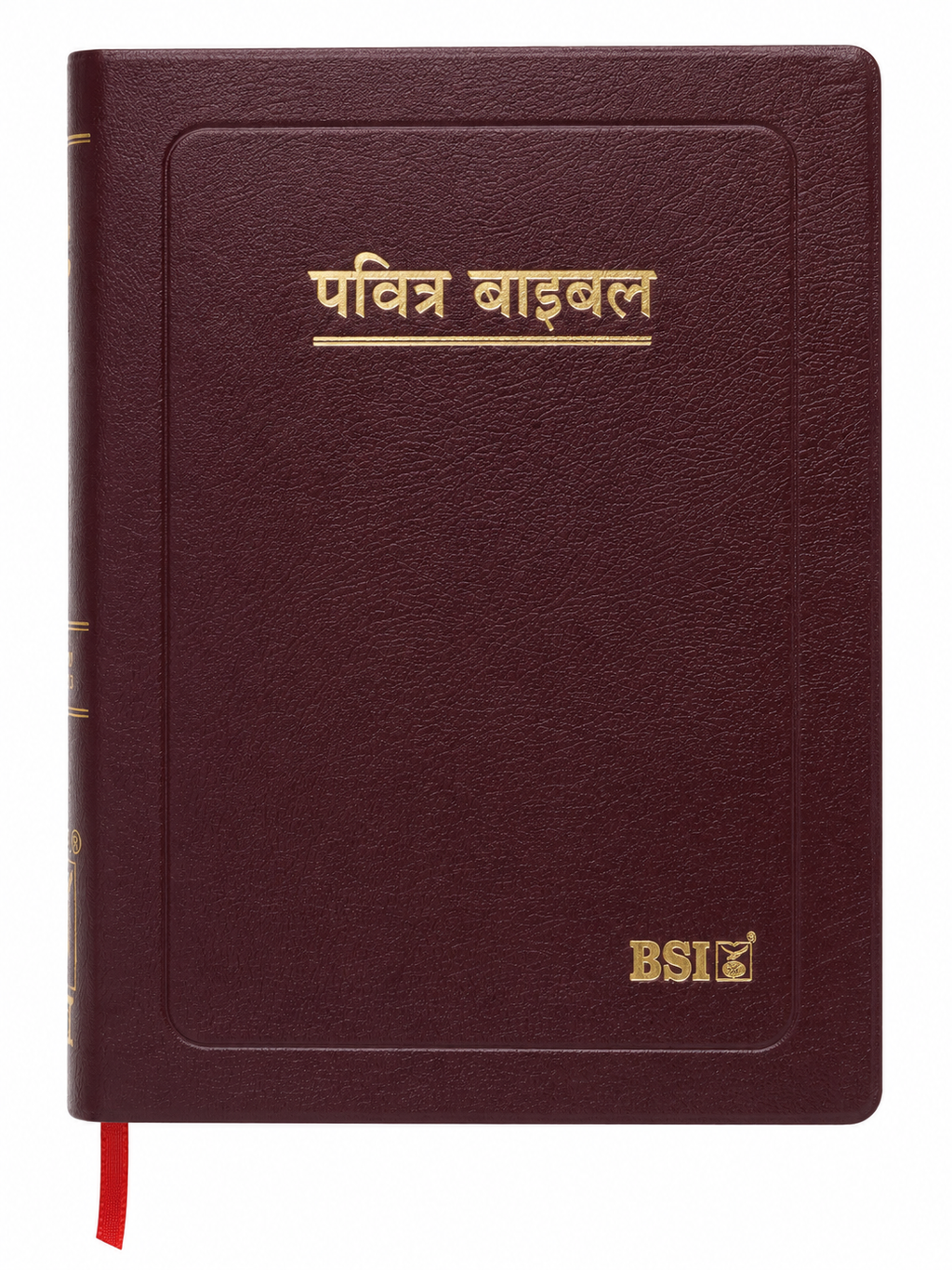 Hindi Holy Bible – Large Print Edition (O.V. Re-edited)   Bible Society of India (BSI)