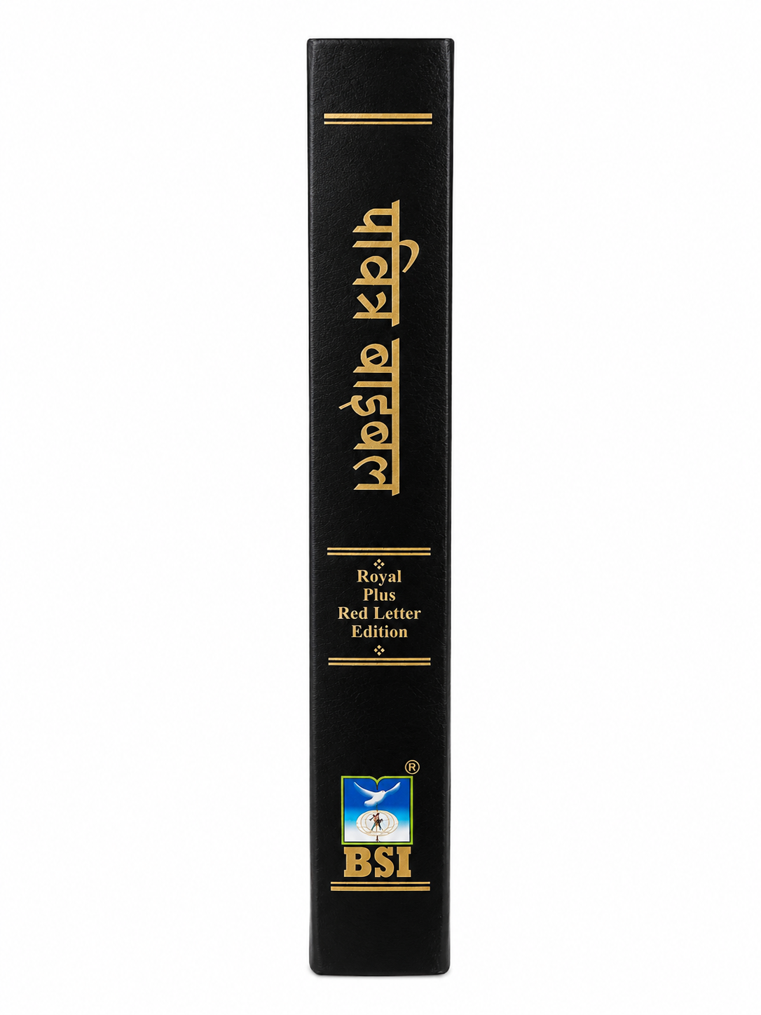 Hindi Bible Royal Plus – Red Letter Edition (Big Letter) Bible Society of India (BSI)
