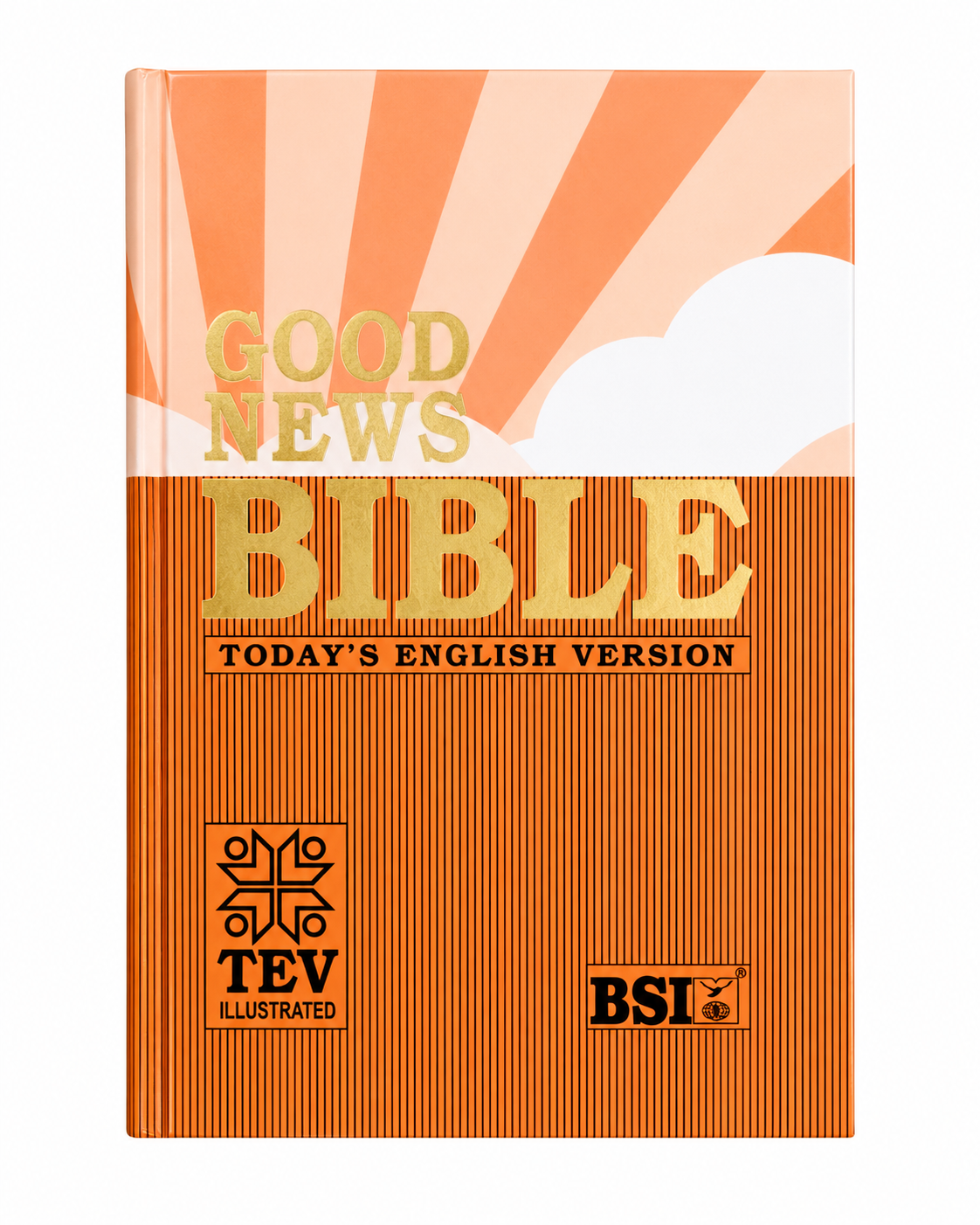 Good News Bible (GNB/TEV)  Bible Society of India (BSI)