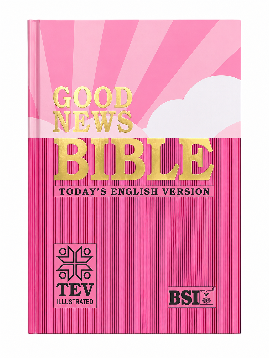 Good News Bible (GNB/TEV)  Bible Society of India (BSI)