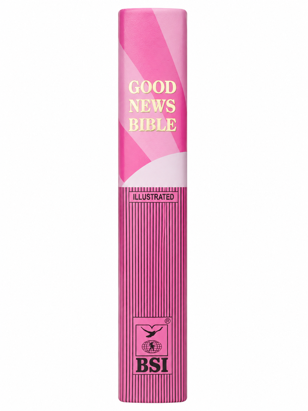 Good News Bible (GNB/TEV)  Bible Society of India (BSI)