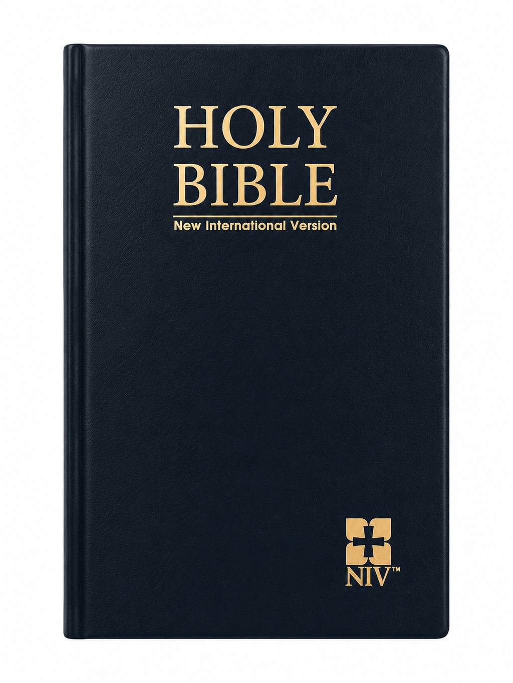 English NIV Large Print Bible, Bible Society of India (BSI)