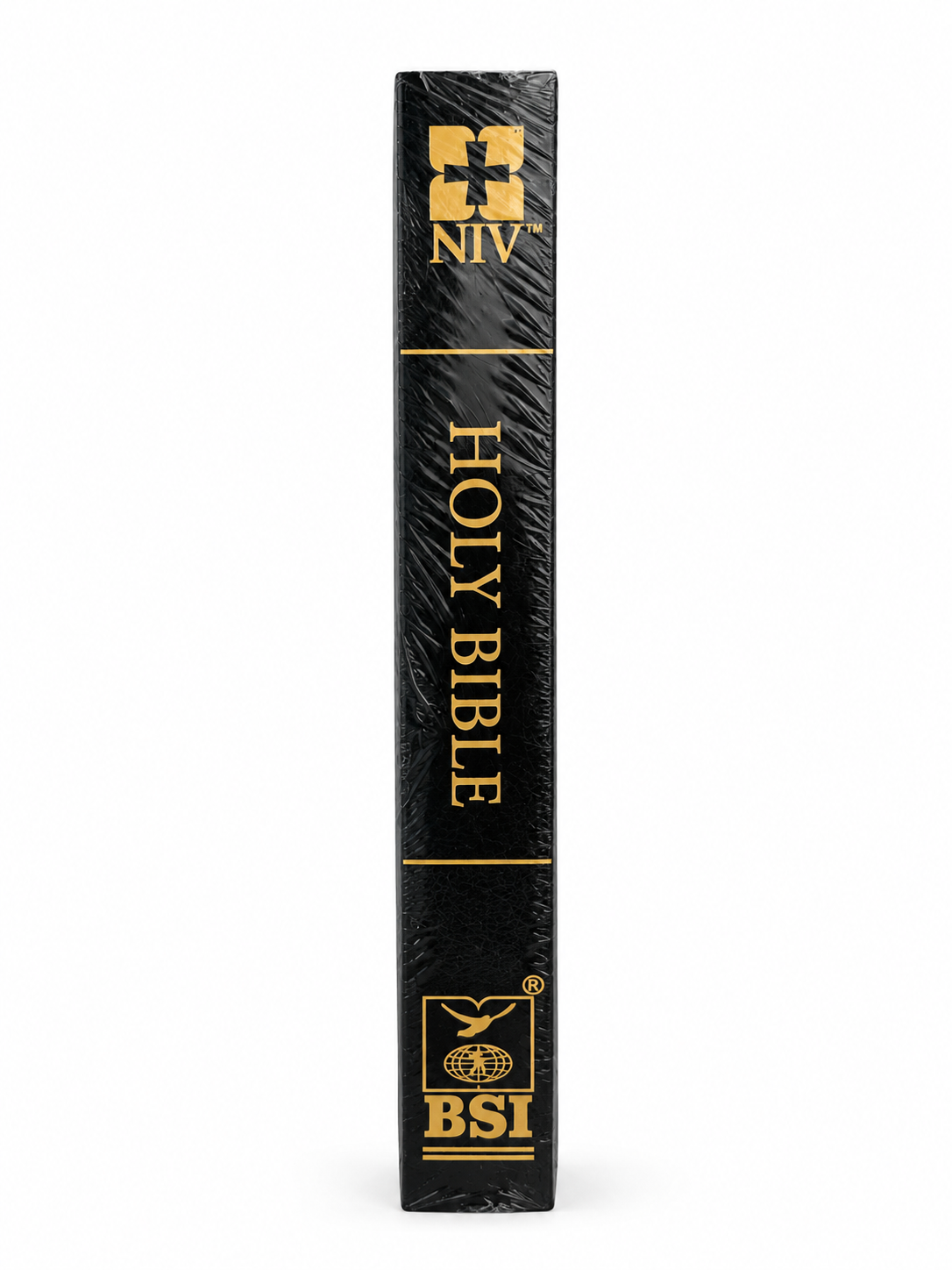 English NIV Large Print Bible, Bible Society of India (BSI)