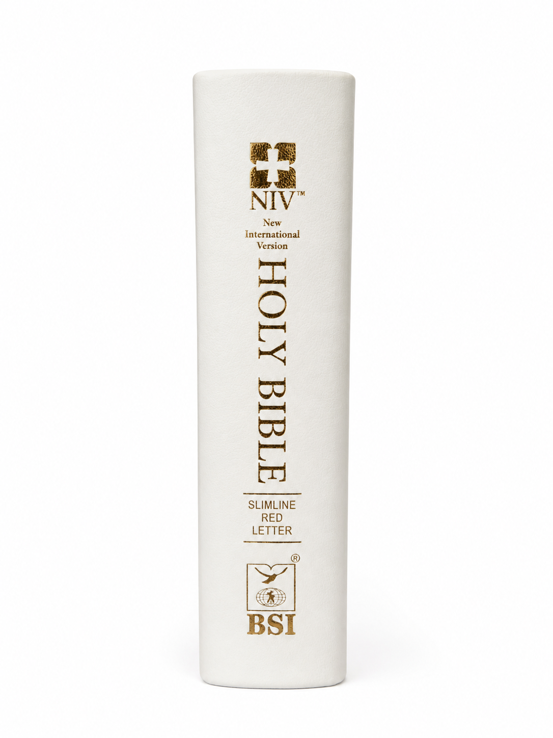 English NIV Slimline  Bible Society of India (BSI)