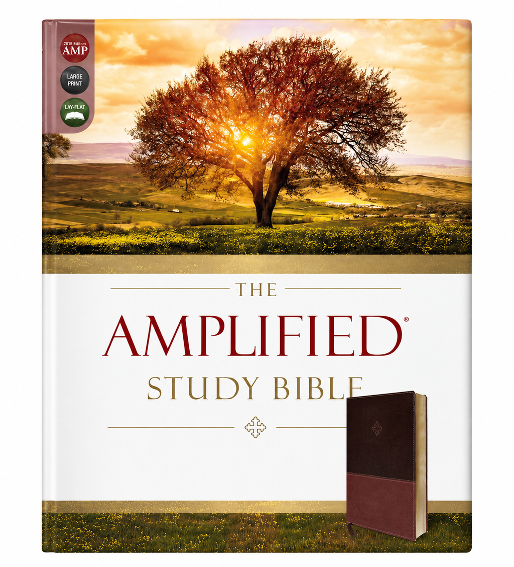 Amplified Study Bible – Brown Leathersoft  Zondervan