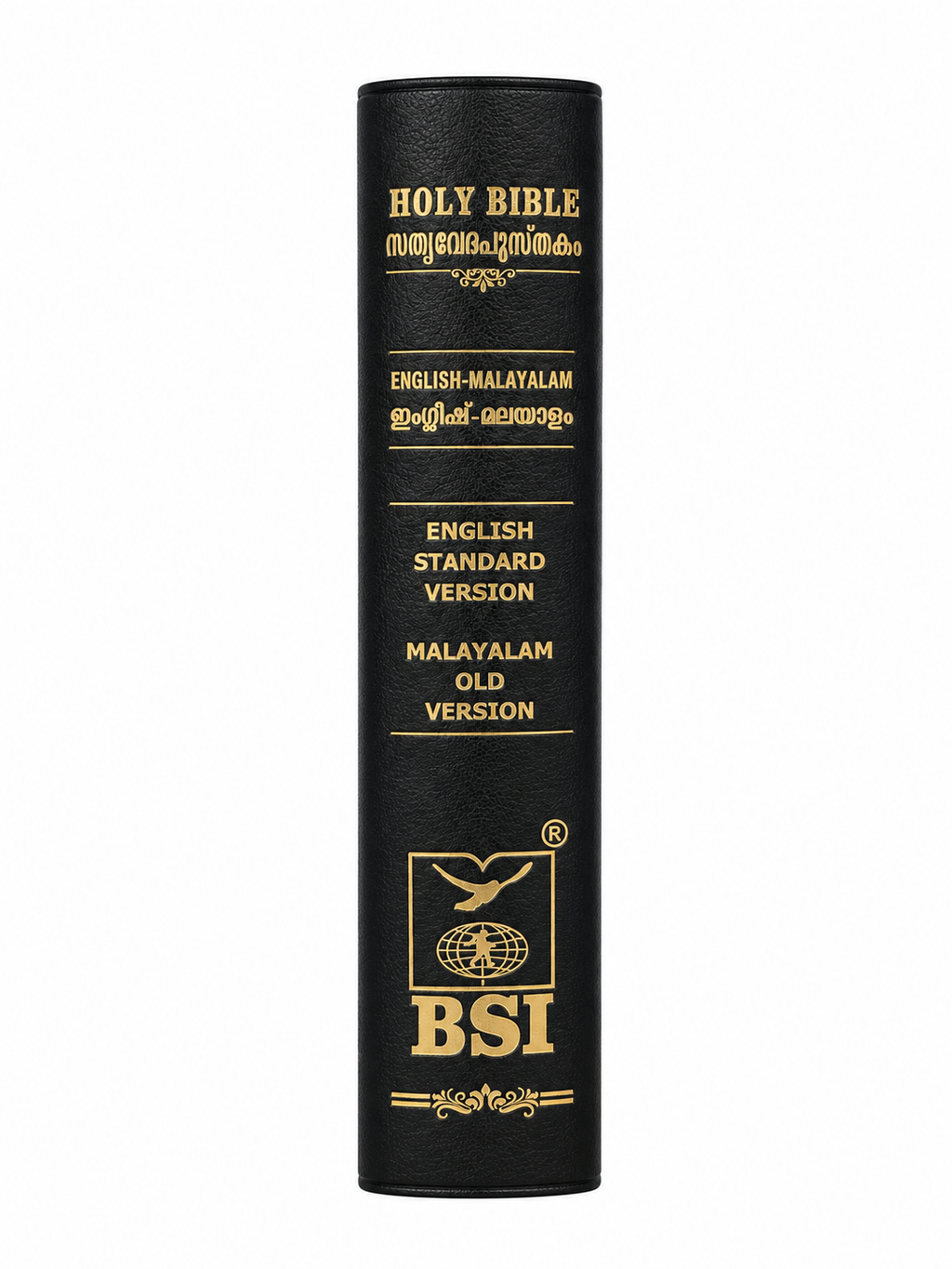 English–Malayalam Diglot Holy Bible (ESV &amp; Malayalam OV) Bible Society of India (BSI)