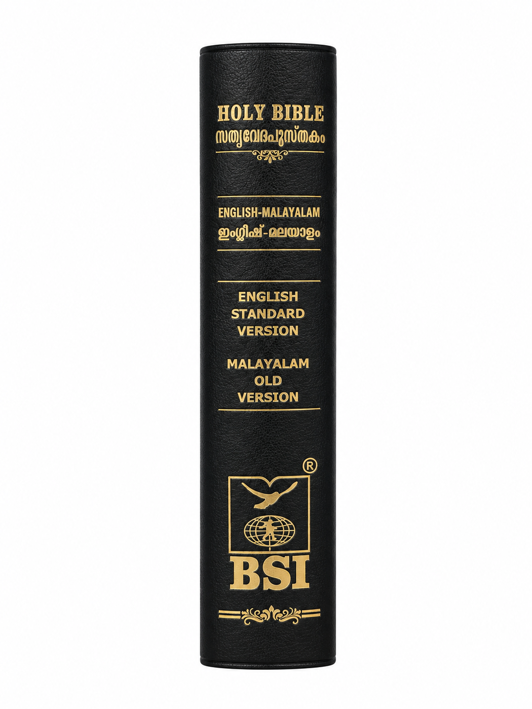 English–Malayalam Diglot Holy Bible (ESV &amp; Malayalam OV) Bible Society of India (BSI)